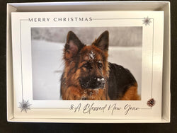New Skete Shepherd Holiday Photo Cards